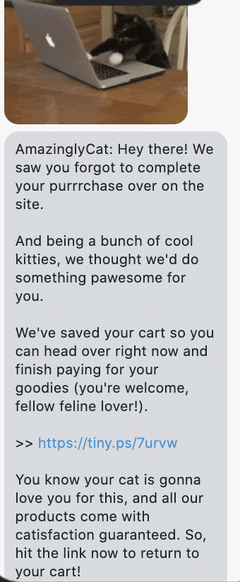 Hey there! We saw you forgot to complete your purrrchase over on the site. And being a bunch of cool kitties, we thought we'd do something pawesome for you. We've saved your cart so you can head over right now and finish paying for your goodies (you're welcome, fellow feline lover!). >> {abandoned_cart_link} You know your cat is gonna love you for this, and all our products come with catisfaction guaranteed. So, hit the link now to return to your cart!