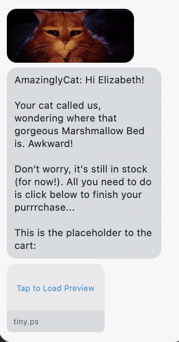 Hi {first_name}! Your cat called us, wondering where that gorgeous Marshmallow Bed is. Awkward! Don't worry, it's still in stock (for now!). All you need to do is click below to finish your purrrchase... This is the placeholder to the cart: