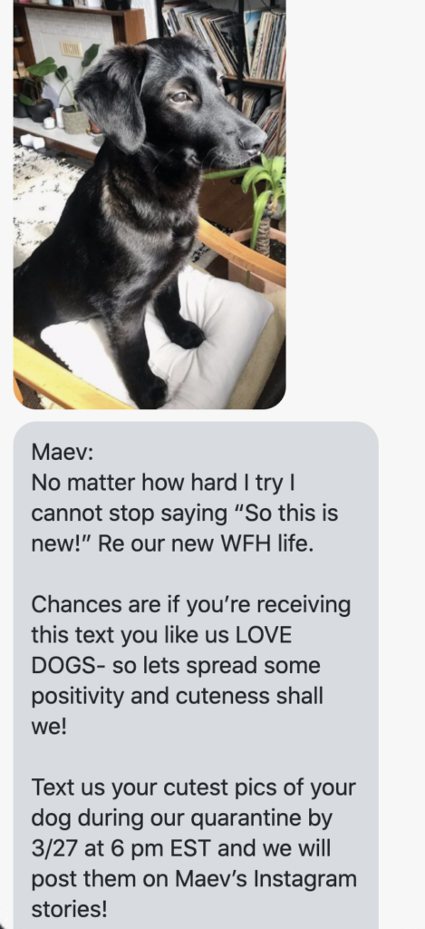 No matter how hard I try I cannot stop saying “So this is new!” Re our new WFH life. Chances are if you’re receiving this text you like us LOVE DOGS- so lets spread some positivity and cuteness shall we! Text us your cutest pics of your dog during our quarantine by 3/27 at 6 pm EST and we will post them on Maev’s Instagram stories! https://www.instagram.com/meetmaev/