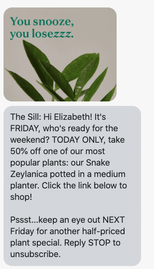 Hi {first_name}! It's FRIDAY, who's ready for the weekend? TODAY ONLY, take 50% off one of our most popular plants: our Snake Zeylanica potted in a medium planter. Click the link below to shop! Pssst...keep an eye out NEXT Friday for another half-priced plant special. Reply STOP to unsubscribe. https://www.thesill.com/products/snake-plant-zeylanica-1?variant=30412173803625&utm_source=postscript&utm_medium=sms&utm_campaign=campaign_fridaydeal_snake