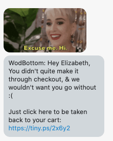 Hey {first_name}, You didn't quite make it through checkout, & we wouldn't want you go without :( Just click here to be taken back to your cart: {abandoned_cart_link}